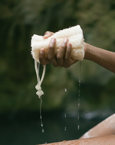 Central Coast Luffa